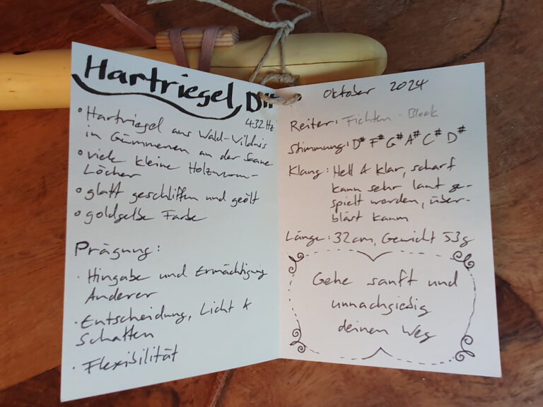 Hartriegel Liebesflöte